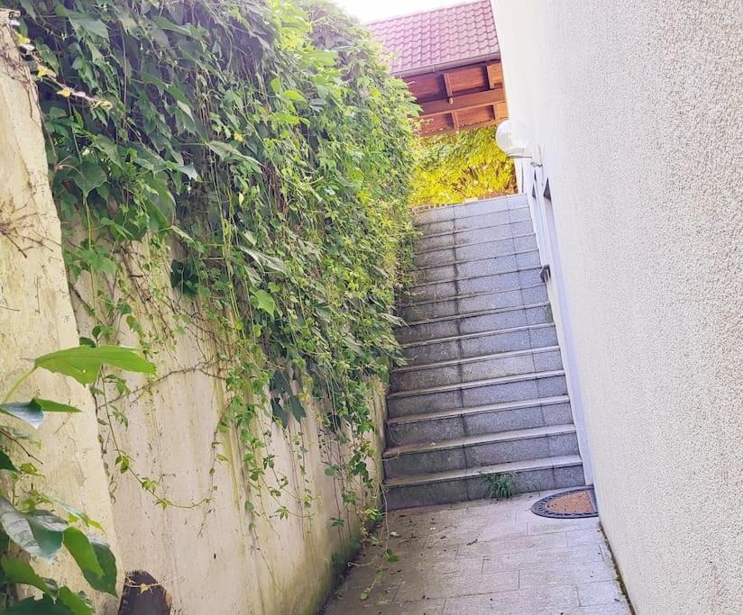 Colourful 2.5 Bedroom With Large Balcony & Garden. Prinzersdorf Exterior foto