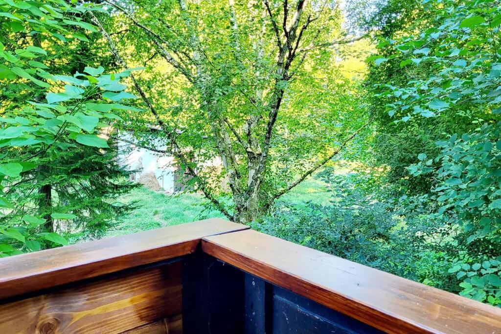 Colourful 2.5 Bedroom With Large Balcony & Garden. Prinzersdorf Exterior foto